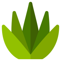 Müşteri Memnuniyeti