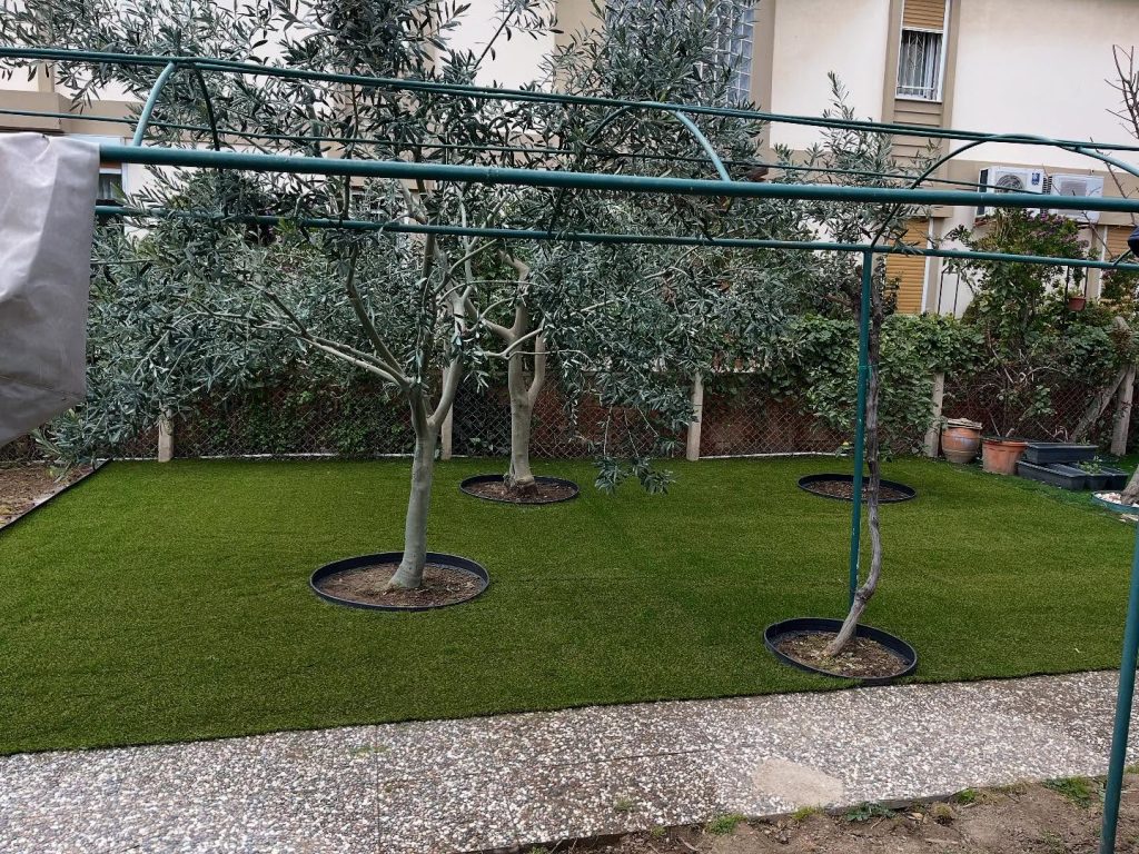 480936948_18031712627632626_7273595959806447451_n